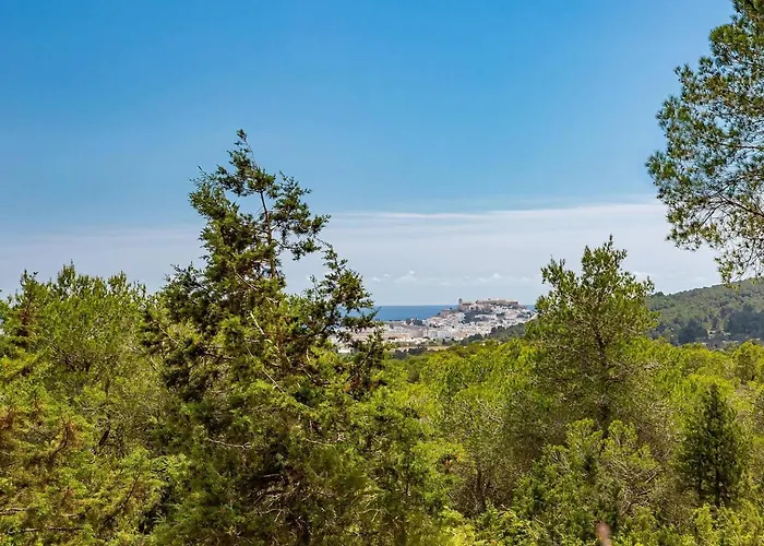 Ibiza Vibes - Epic Tides!